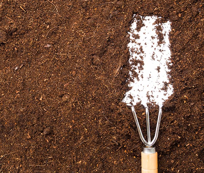 Cocopeat Image 3
