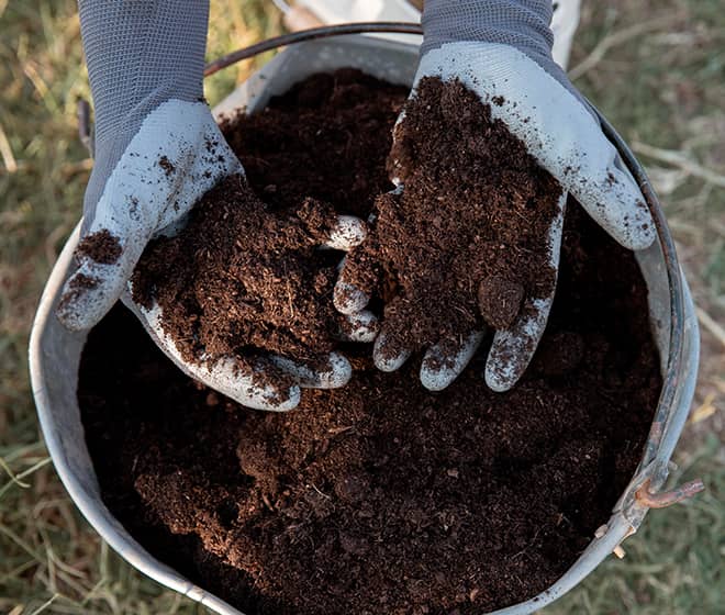 Organic Fertilizer Image 1