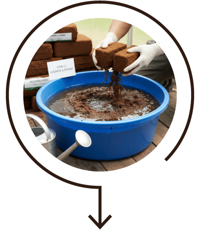 Prepare the Cocopeat